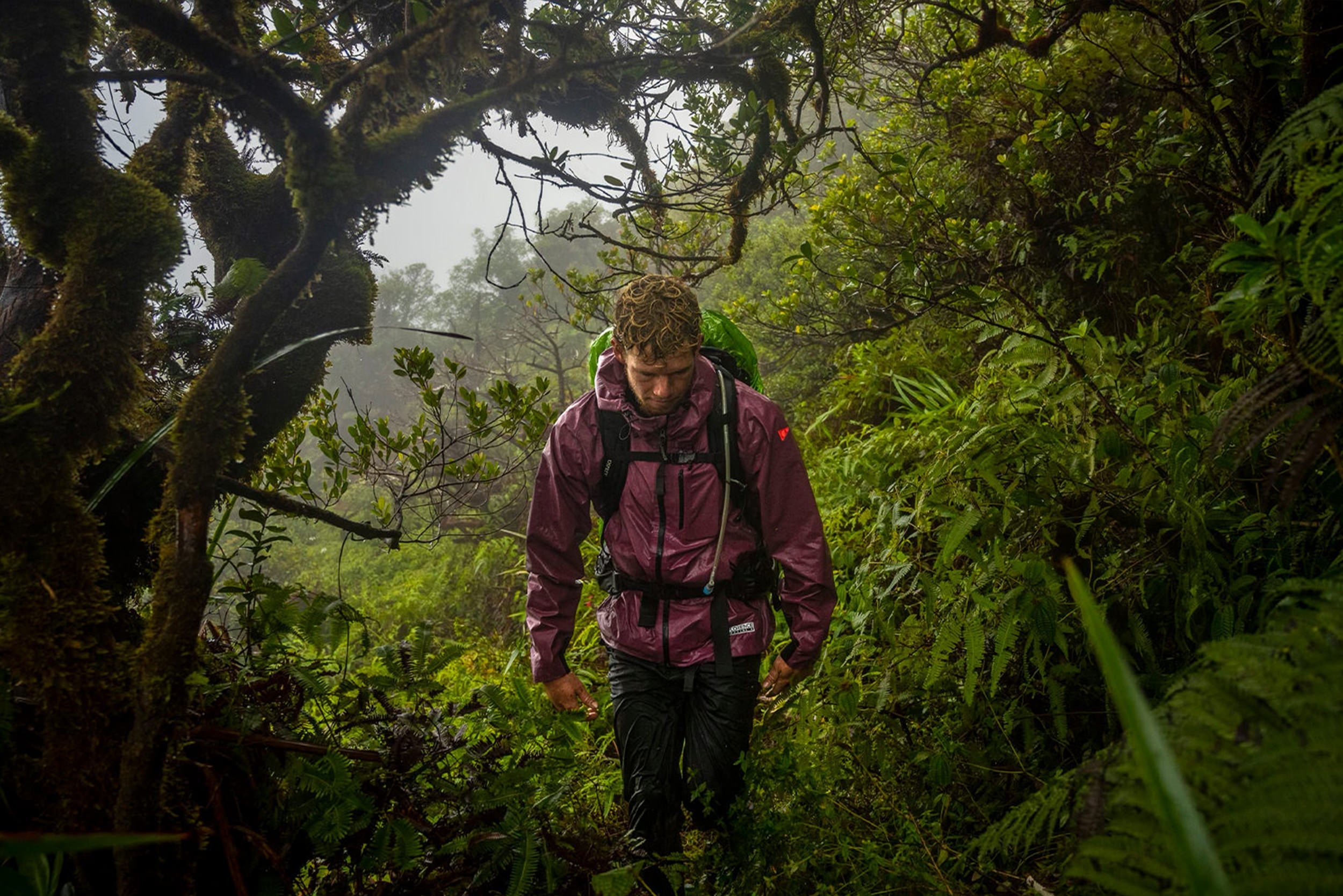 NORTH SHORE TESTED: Trekking 37 Perilous Miles Through The Ko'olau